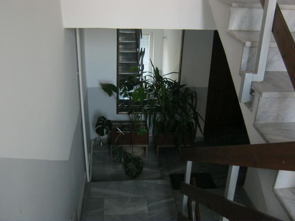 Hostel Bimbo Skopje Nội địa bức ảnh